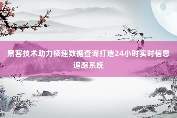 黑客技术助力极速数据查询打造24小时实时信息追踪系统