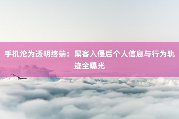 手机沦为透明终端：黑客入侵后个人信息与行为轨迹全曝光