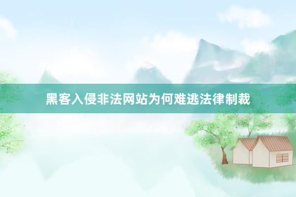 黑客入侵非法网站为何难逃法律制裁